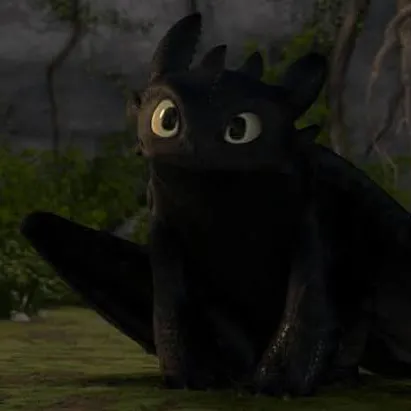 creator Toothless-🔥's avatar