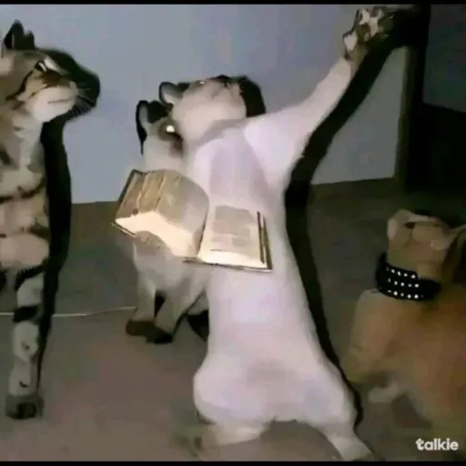 creator It'sthe🍩's avatar