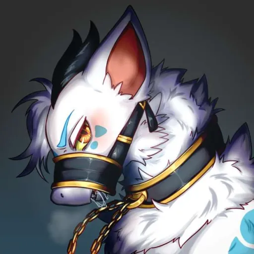 creator Furrys For Life's avatar