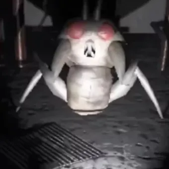 chat with ai character: yippy