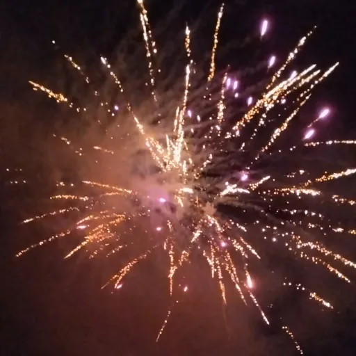 creator Celeste Rose's avatar