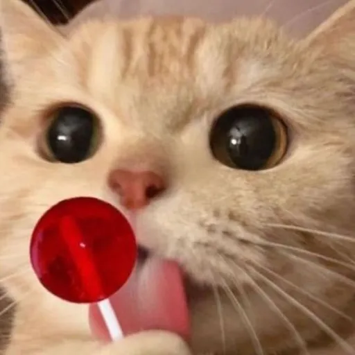 creator I_LUV-Cats's avatar