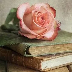 creator Jeliez Saboxïel's avatar