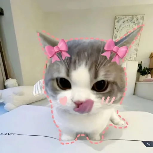 creator KittyMittyNutty's avatar