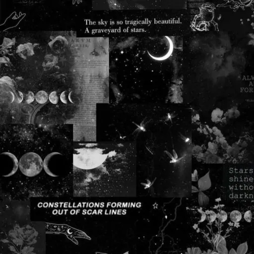 creator the cut teddy bear's avatar