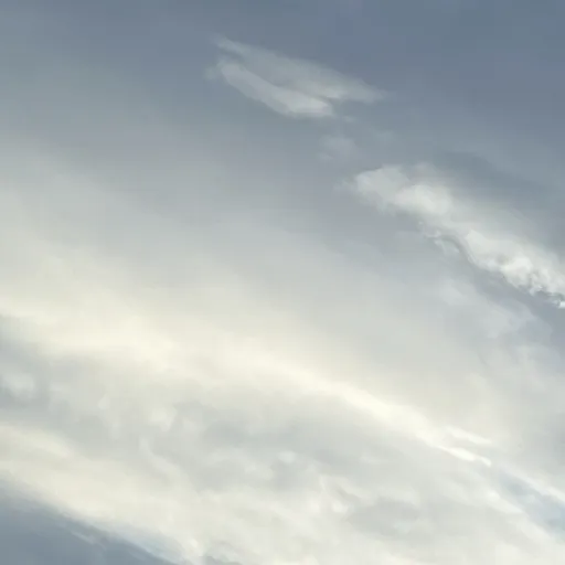 creator Mew me ducking cat's avatar