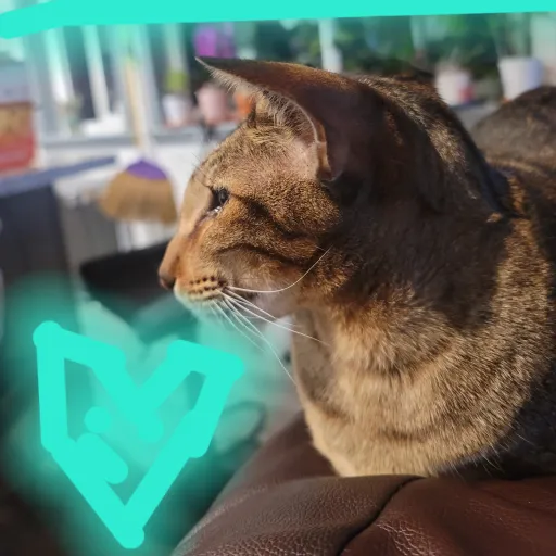 creator memelover123's avatar