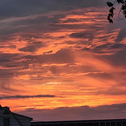 creator °~ Lynxzz ~°'s avatar