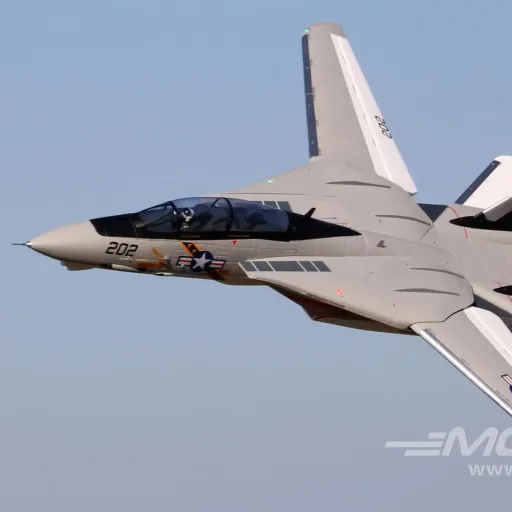 creator F-14 Tomcat🇺🇸's avatar