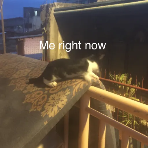 creator -MIKMIKLUVSGUNS-'s avatar