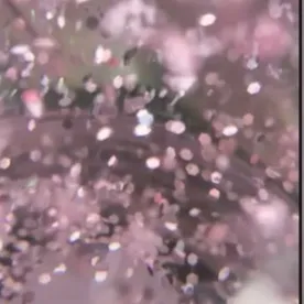 creator ~.mylo.~'s avatar