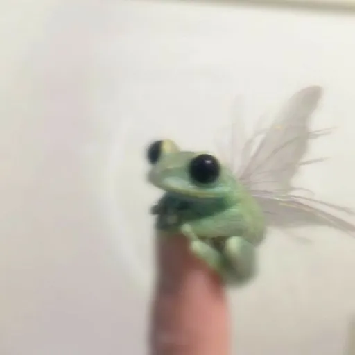 creator žába v mixéru ❤'s avatar