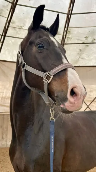 ai character: Zeus background