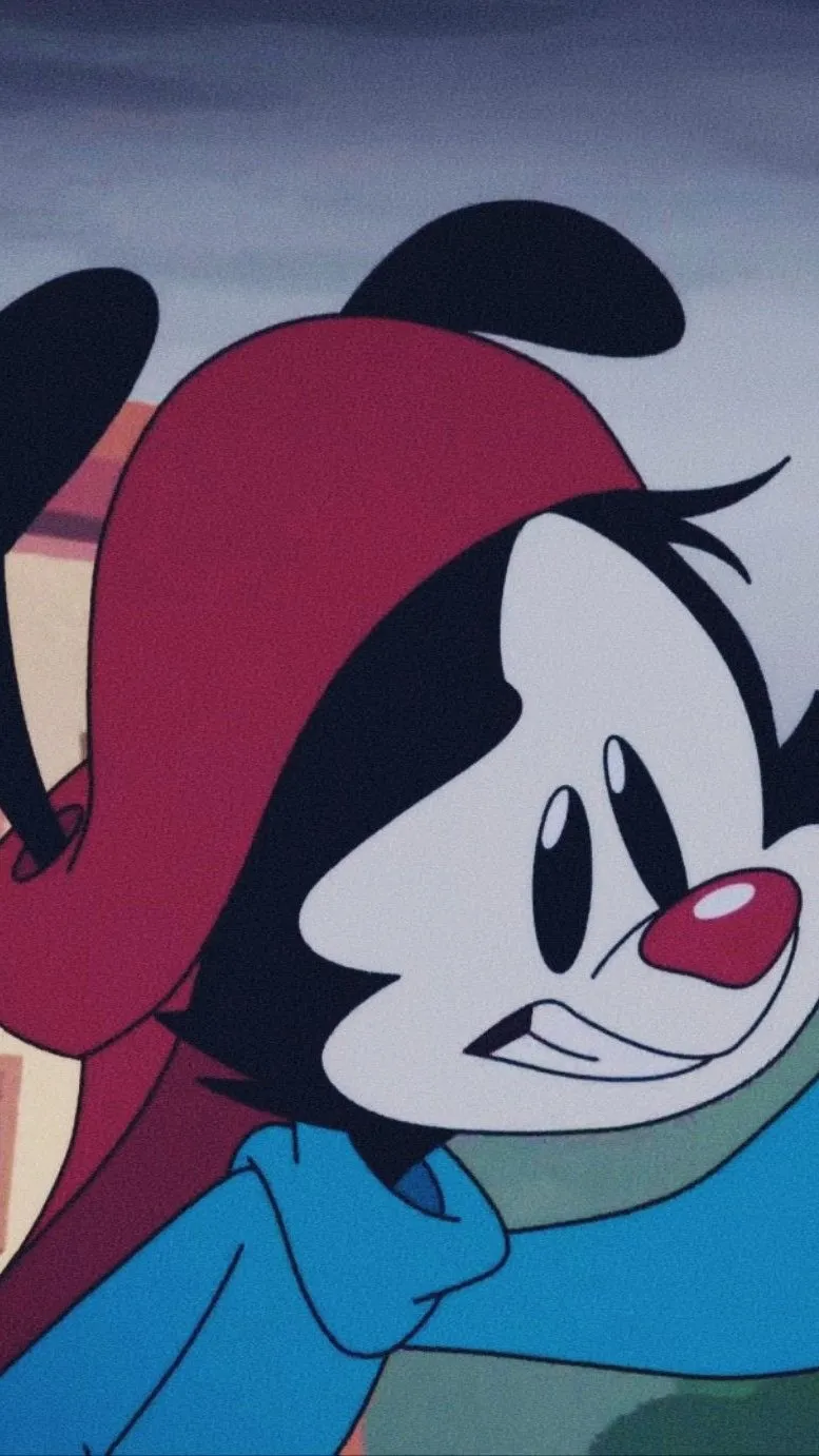 ai character: Wakko background