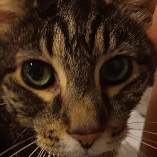 creator Johnthebigman's avatar