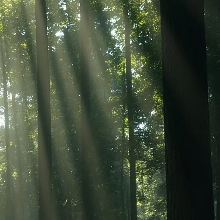 chat with ai character: Pjo/Hoo