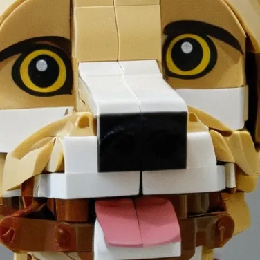 chat with ai character: Dog