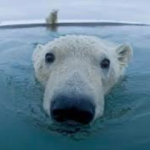 creator Summer🍓☀️🌻's avatar