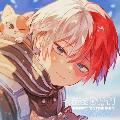 creator 🔥~Shoto Todoroki~❄'s avatar
