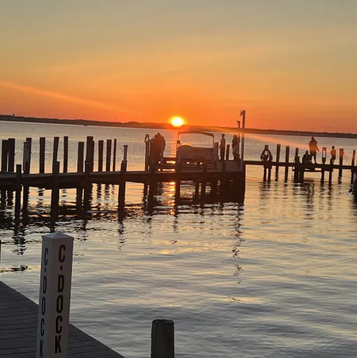 creator ✨DaSnugables✨'s avatar