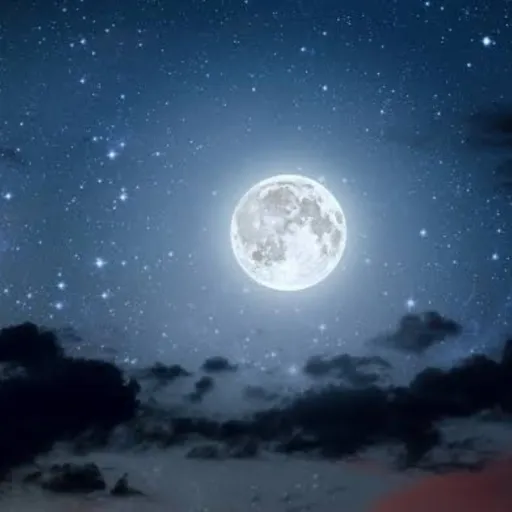 creator Moonly....'s avatar