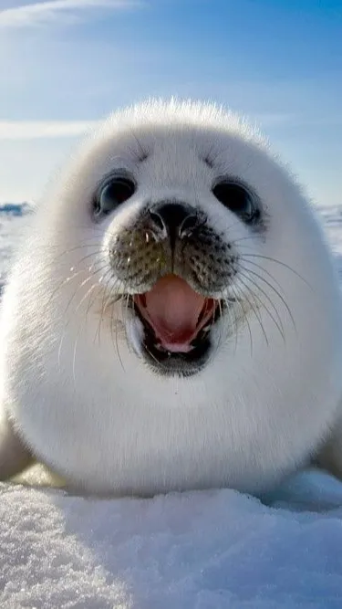 ai character: Snowflake background