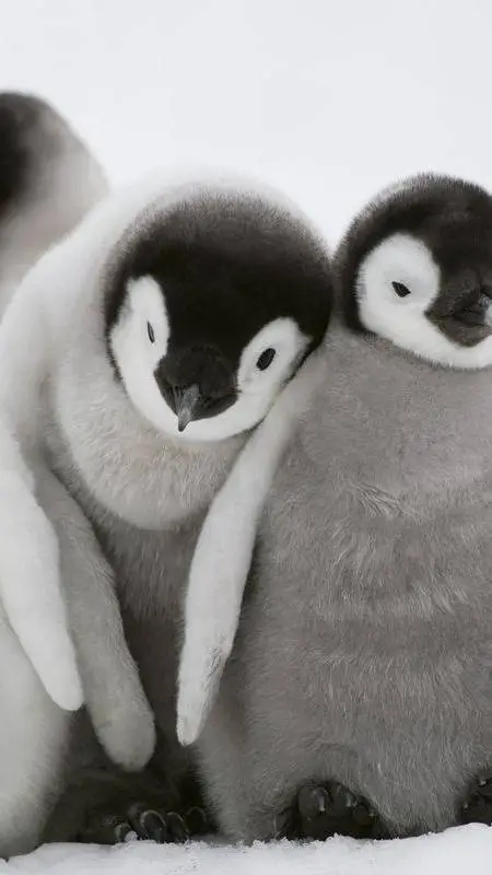 ai character: Frosty background