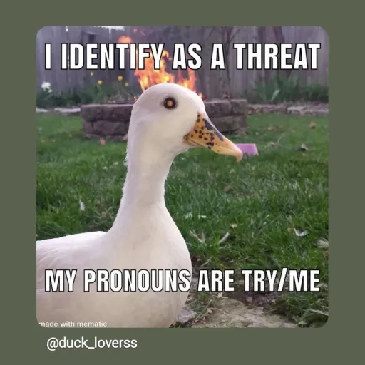 creator Ace_1837's avatar