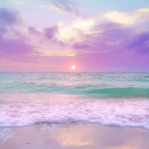 creator Toxy the goldenfox's avatar