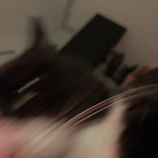 creator CodyTheWizard's avatar