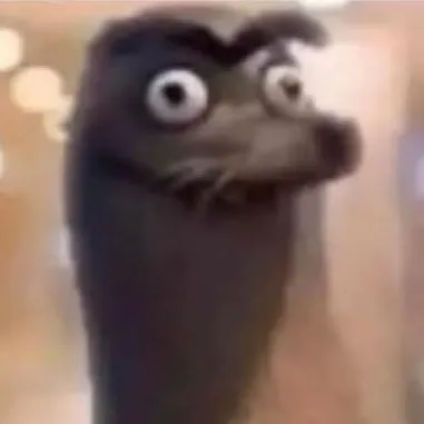 creator me.com's avatar