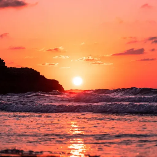 creator Shhh is Ashley's avatar