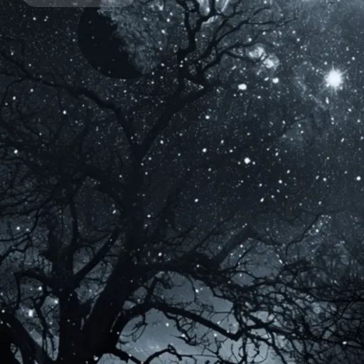 creator Luna123banana#'s avatar