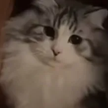 creator ꧁☆-Axellll☆꧂'s avatar