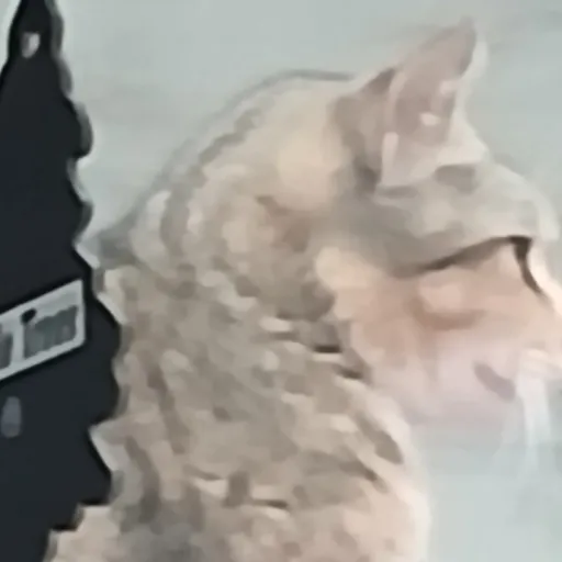 creator the toe eater 😋we's avatar