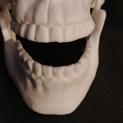 creator maN im DeaD253's avatar