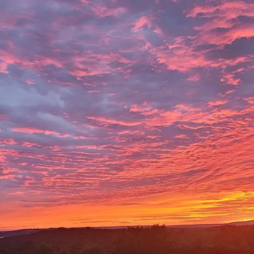 creator angels in tibet's avatar