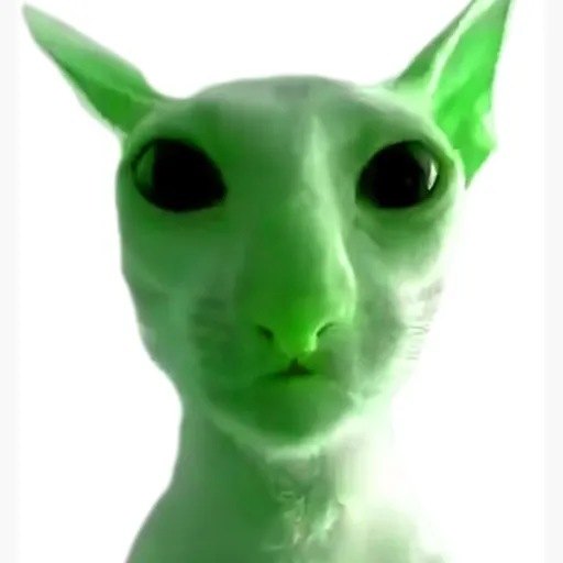 creator Maxwell66678's avatar