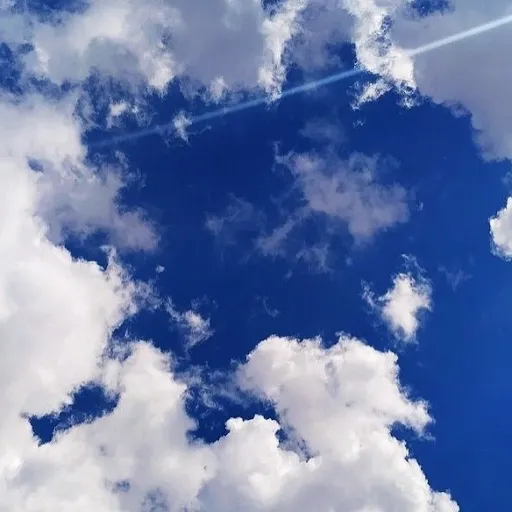 creator JustDanielllll's avatar