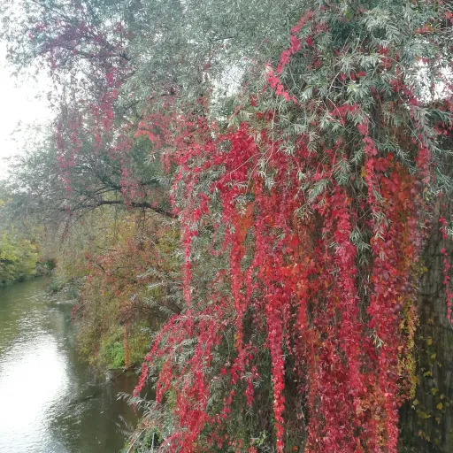 creator talknoirhare's avatar