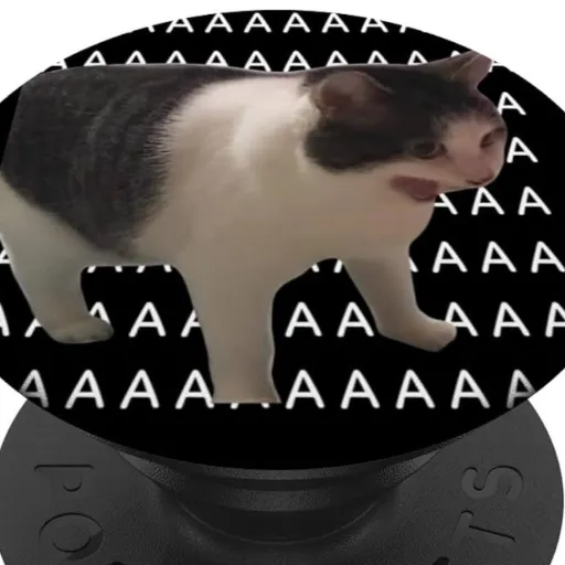 creator El gato 🤨🫵🏼's avatar