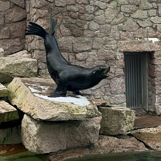 creator Elliishere's avatar