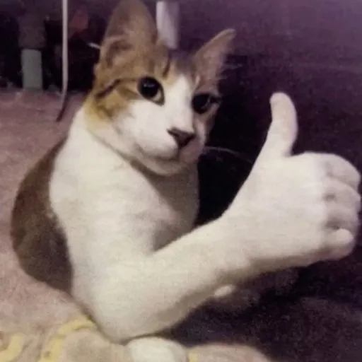 creator Dandy's_world fan's avatar