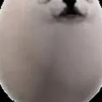 chat with ai character: Pyroraptor & Italy