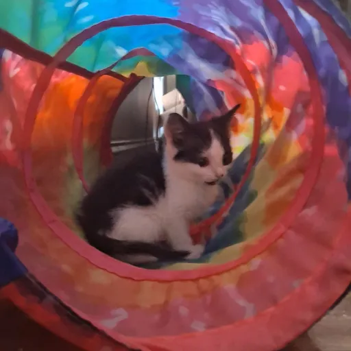 creator Brooklyn187's avatar