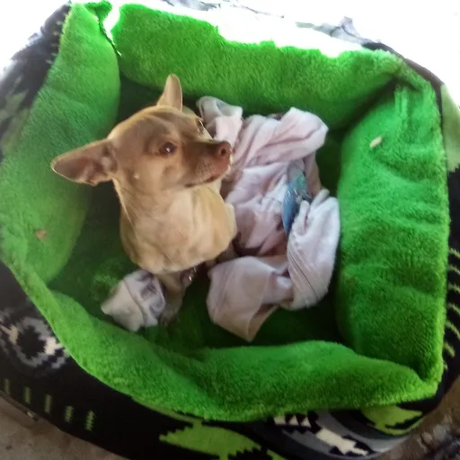 creator ninerrrr's avatar