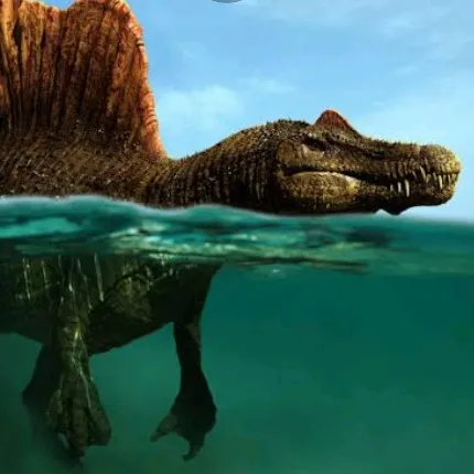 creator ประนอม ปัจจัยโคถา's avatar