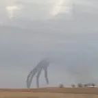 chat with ai character: Hand Of Heaven