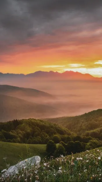 ai character: Recommendations? background