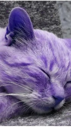 ai character: da background